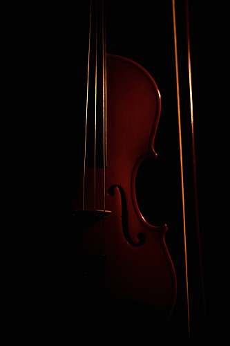 musical instrument brown violin with black background dominican republic